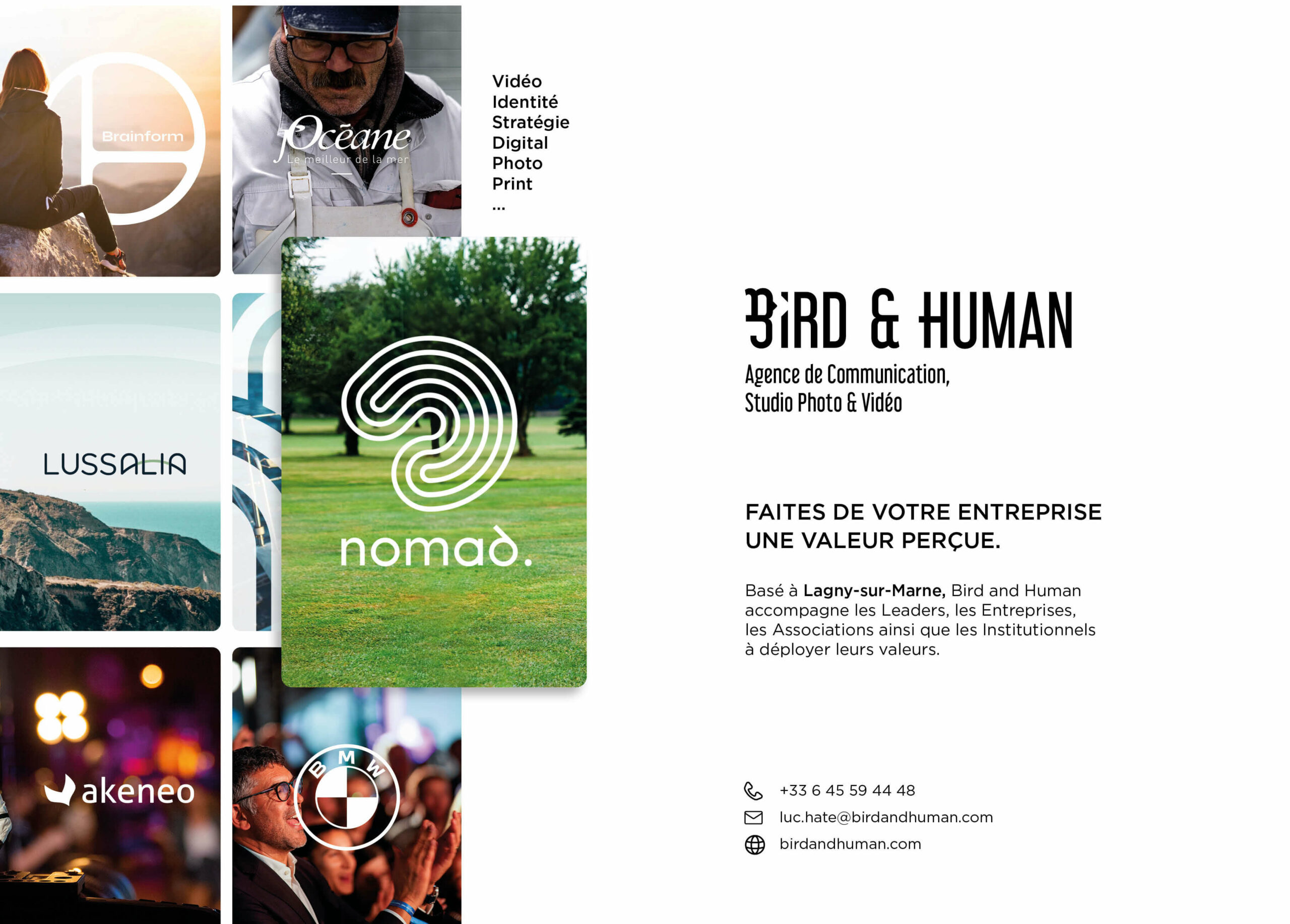 Bird & Human
